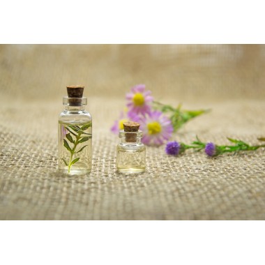 Účinky olejů na naše tělo 